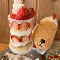コケ原コケチ