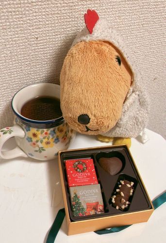 クリスマスにもらったチョコレート🍫 
ようやくあけるんだって〜✨️