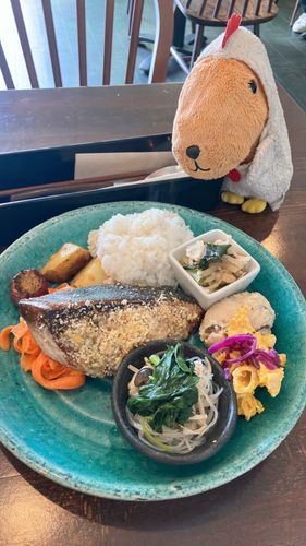 おっきな ぶり だね〜🐟