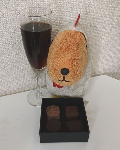 とっておきのチョコレートあけたんだって〜🍫