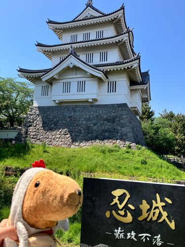 おしろなの〜🏯