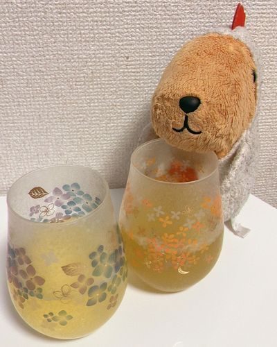 あたらしいコップ かったんだって〜💠 🏵️
