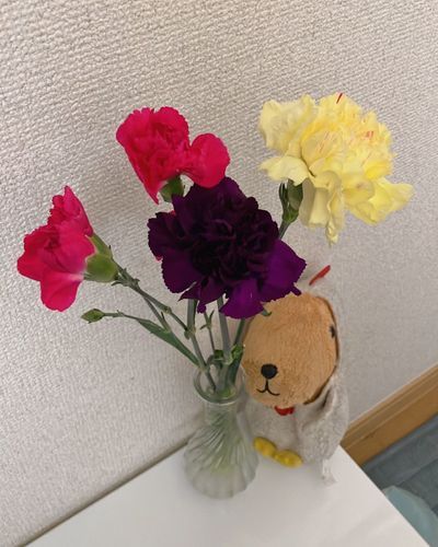 ははのひ だね〜💐