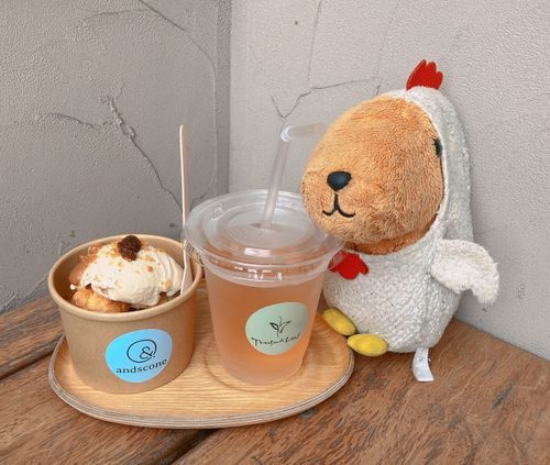 だいすきなおちゃと スコーンアイスだって〜🍨🫖