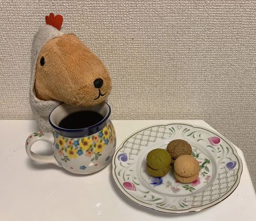 おそと でられないね〜🌧