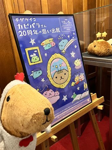 しんゆうちゃんに ずっと たいせつ だよって いってもらったの🧡
いつもいわないくせに〜