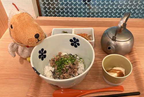 きょうは しっかり たべなきゃ なんだって〜🐟