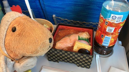 かぞくりょこうなの〜(っ ॑꒳ ॑c)
えきべん おいしいね✨️