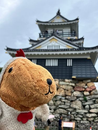 おしろもみたの〜🏯