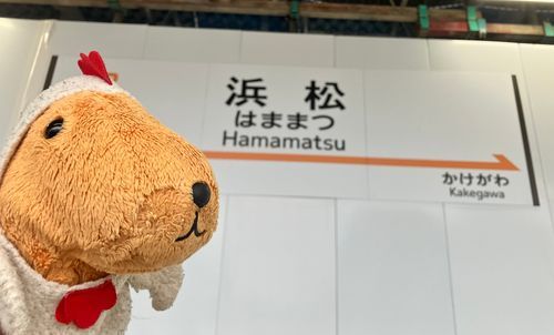 たのしかったね〜🍊