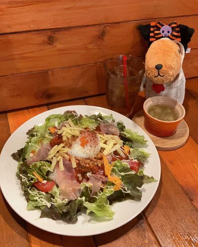 タコライスだって〜🥗