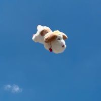 ヒン