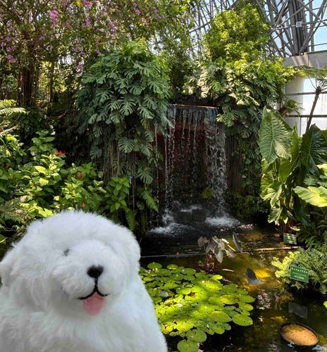 植物園！
