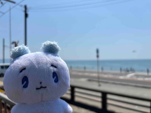 一緒にあの場所見てきたよ！💙💜🩷❤️🖤