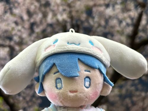 後ろぼやぼやだけど夜桜見てきた