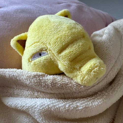 みんなおはようスリ

まだ眠いから二度寝するスリねぇ

部下は3連勤！　ま、せいぜい頑張るスリ笑
