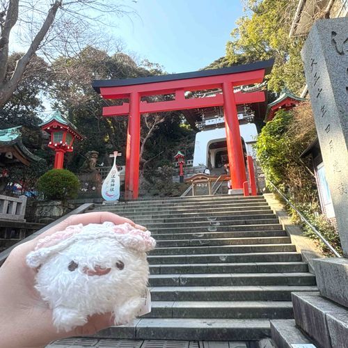 えのしまきたよ