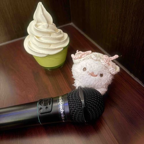 からおけのあいすってなんでこんなにおいしいの？