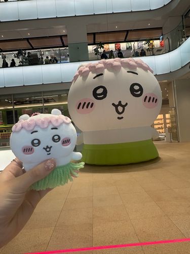 ちいとちい(ˊo̴̶̷̤ ·̫ o̴̶̷̤ˋ)⸝‍⸝‍⸝‍♡.ᐟ🌺🌴