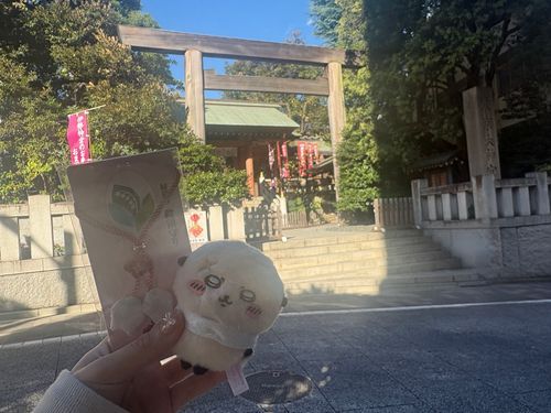 東京大神宮でｽﾋﾟ活,,ᴗ  ̫ ᴗ,,♡⠀୨୧