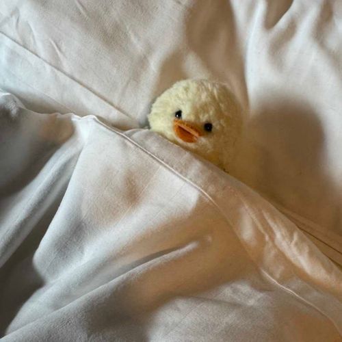 あさ　だねぇ…
