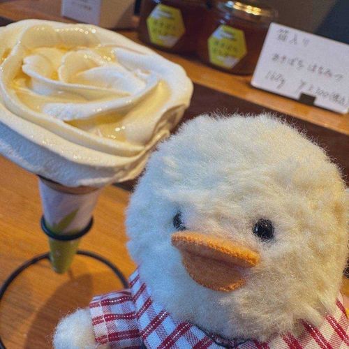 そふとくりむ