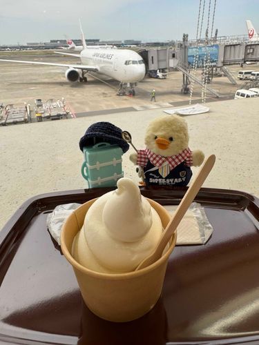 そふとくりむ！