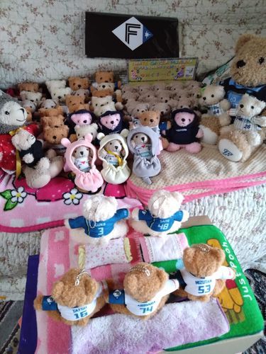 こゆあ🧸「しんじんはむ🧸くん（5🧸）、ほんじつごとうちゃくやでな🫰🥰」