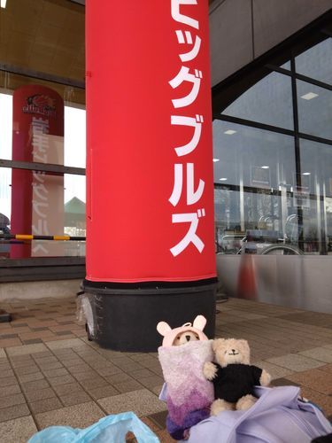 ちゃんまー🧸「すうねんぶりに、きたちゃ‼️😊」