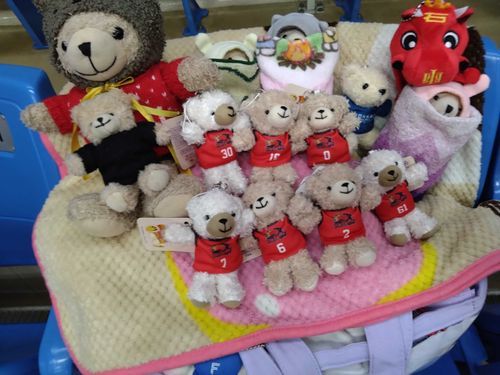 ちゃんまー🧸「あたらしいおともだち🧸をスカウトしたちゃ🫶🙌🥰」
