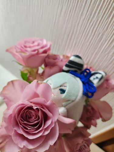 いいかおり　ぜんぶ
すいこみますか
どらいふらわ　しますか