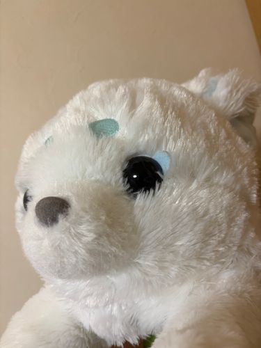 つぶらな瞳