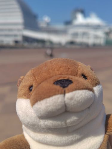はじめまして！
かわうそです！今日からよろしくね！