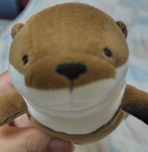 ﾇｼのバイトについて行ったよ❗
とっても忙しそうだった‼️
みんなもお疲れ様😊