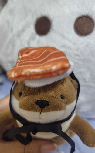 お寿司貰った‼️
サーモンだよ！