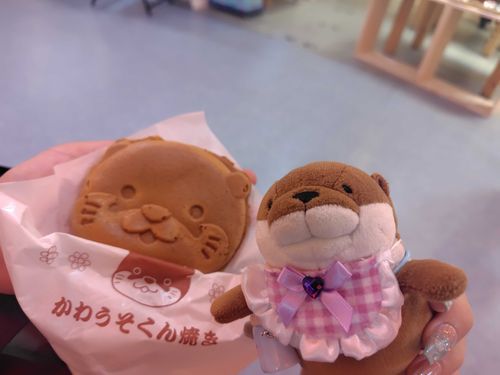 かわうそくん焼き！？だって！！
すごいお名前…
ﾇｼは美味しいって言ってたよ！
