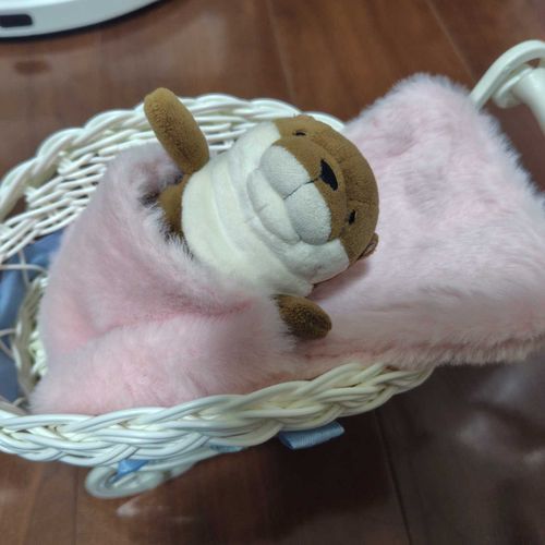 もこもこのおふとん！
これでいつ寒くなってもだいじょうぶ！😆