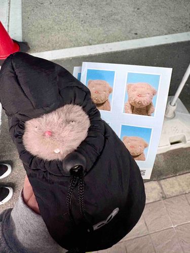 きょうはダウンを着せてもらったー！
あったかー！
あとコンビニでふぁんふぁんの証明写真もつくりました！どう🐭✨️