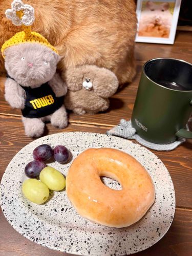 きょうのおやつもﾄﾞﾅﾂ！うまうま。
おうちのひと今日はおしごとお休みだからいっしょにのんびりすごしてるよー
あ！ぼくのうしろの茶色いのはねこさんだよーﾄﾞﾅﾂをじっと見てたよー