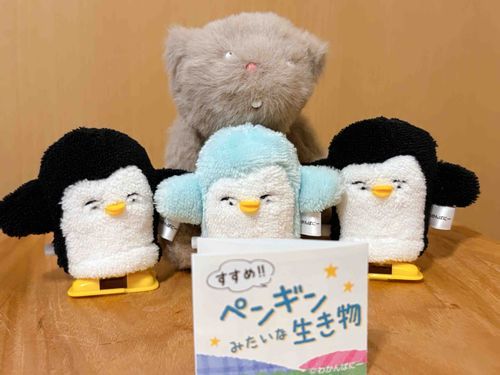 ほんじつのガチャ！
ペンギンさーん🐧✨️
ほしかった黒と水色の子がでてうれしい！ておうちの人がよろこんでいる！！