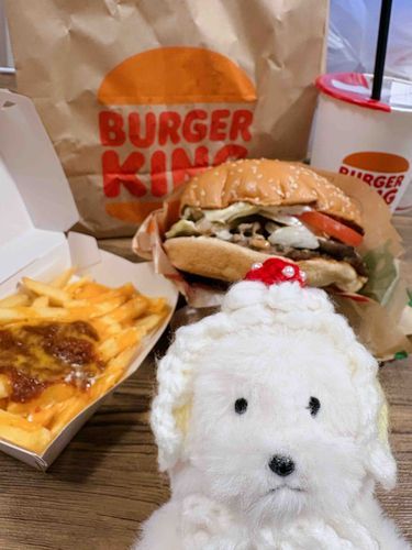 まっしゅるーむわっぱー🍔✨️