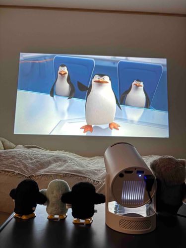 ｢ぺっんぺん…！(かっこいい…！)｣
🐧🐧🐧

