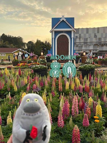 久々に　ムーミン谷に帰ったよ