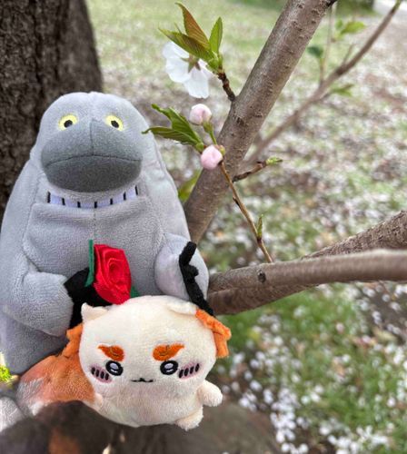 シーサーちゃんも一緒に。
つぼみもかわいいね。