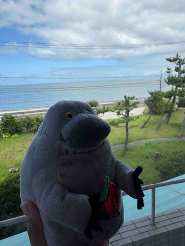 海で泳いじゃおっかなー！