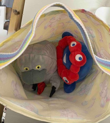 新しい移動バッグ作ってもらっちゃったー！