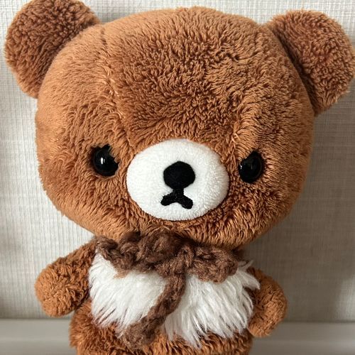 我が家で私(持ち主)の誕生日にプレゼントされてやって来たチャイロイコグマ3匹のうちの1匹！リラックマストア出身だよ✨