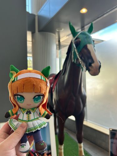 少し前に中京競馬場で私の聖地に行ってきました✨
そこには私の姿も！