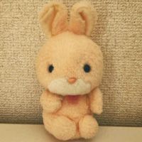 ちゃんみみ