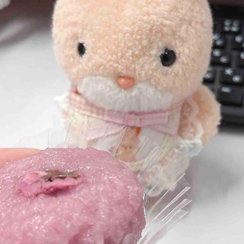 きょう  3/3は  ひなまつりでもあり…………
みみのひ  なんだよ〜〜🐰🎀

さくらもち  おいし〜なあ🤤💕💕